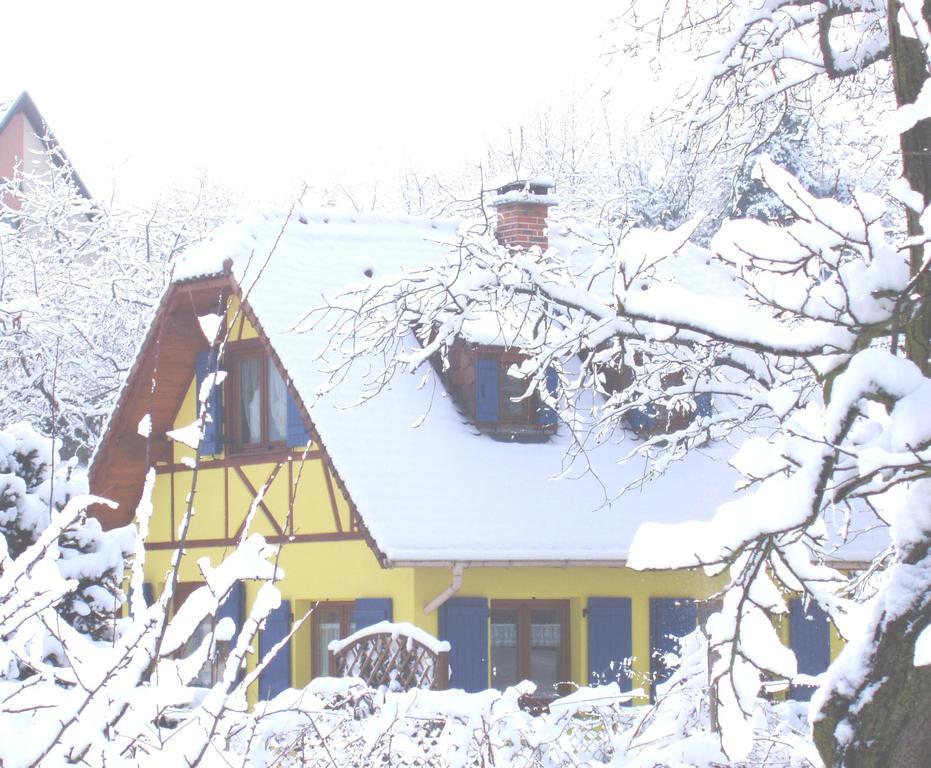 Gite en Alsace Mutzig Exterior foto